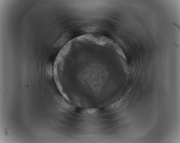 X0000097460479200803071635