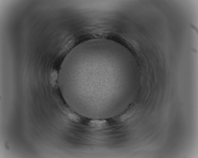 X0000097460480200803071635