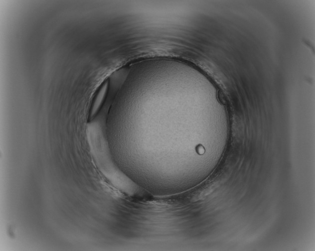 X0000097460481200803071634