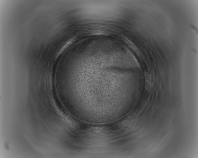 X0000097460482200803071634