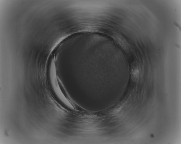 X0000097460484200803071634