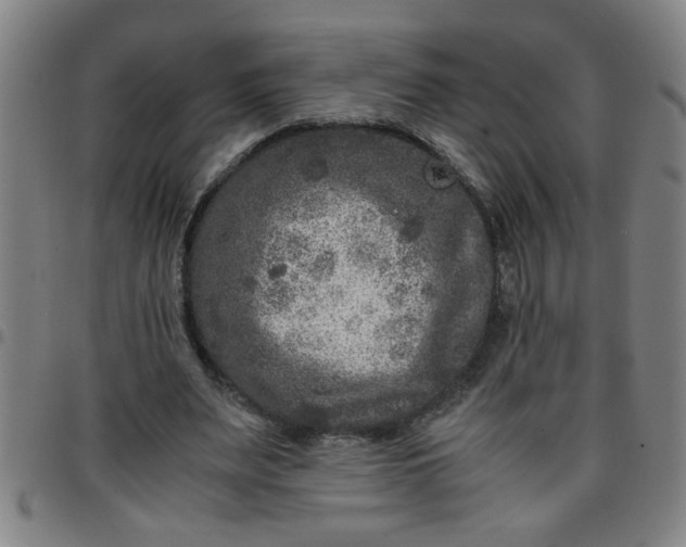 X0000097460487200803071634