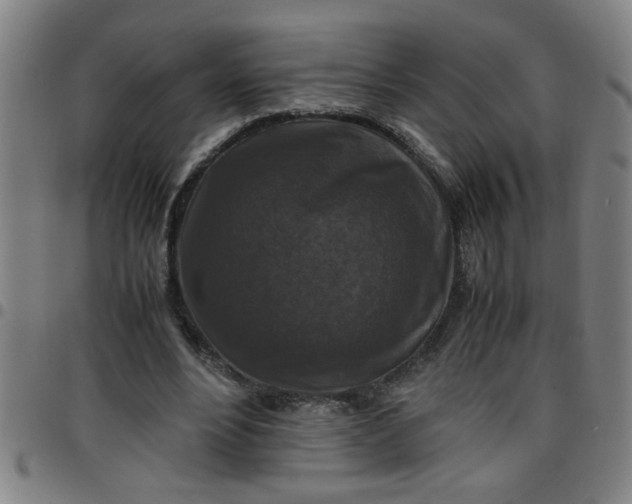 X0000097460488200803071634