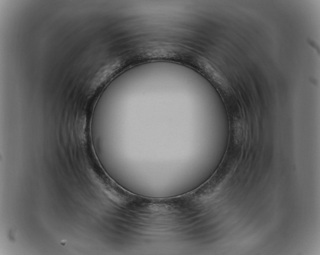 X0000097460490200803071634