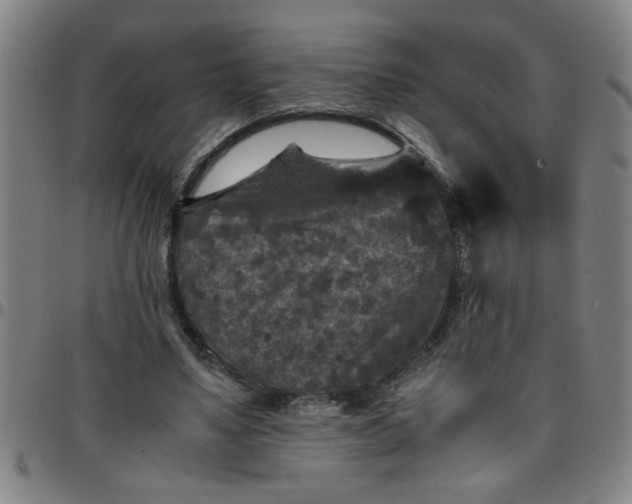 X0000097460491200803071634