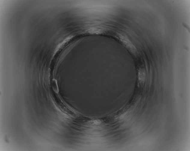 X0000097460492200803071634