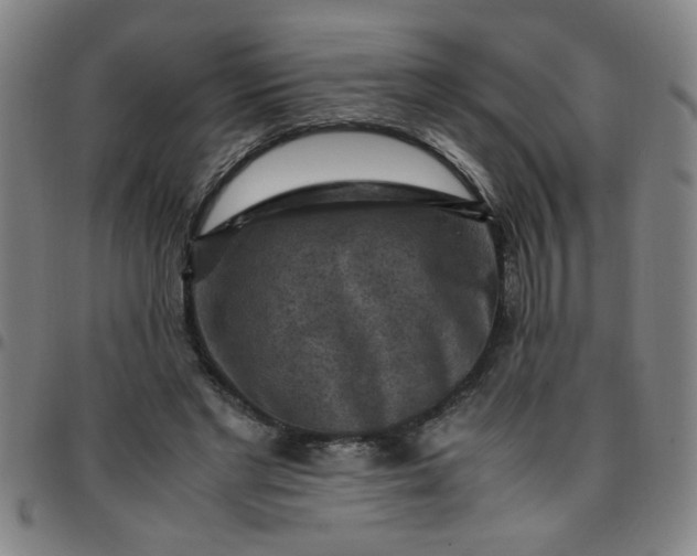 X0000097460493200803071634