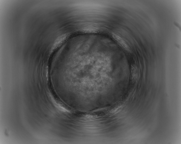 X0000097460494200803071634