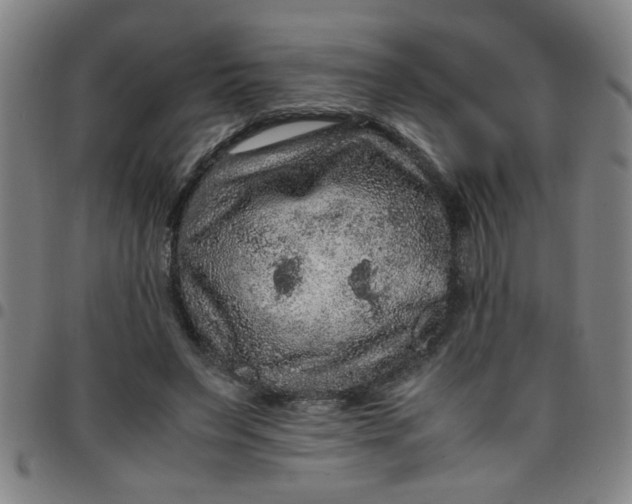 X0000097460495200803071634