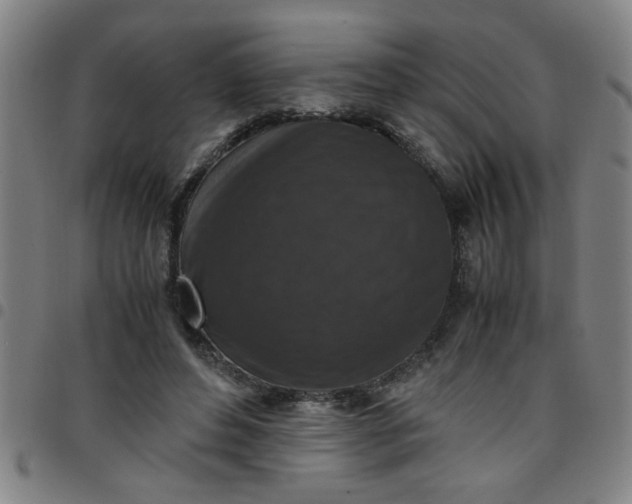 X0000097460496200803071634