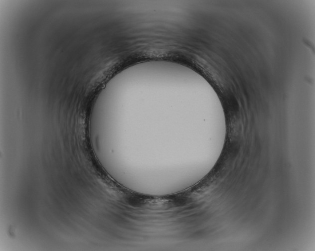 X0000097460497200803071634