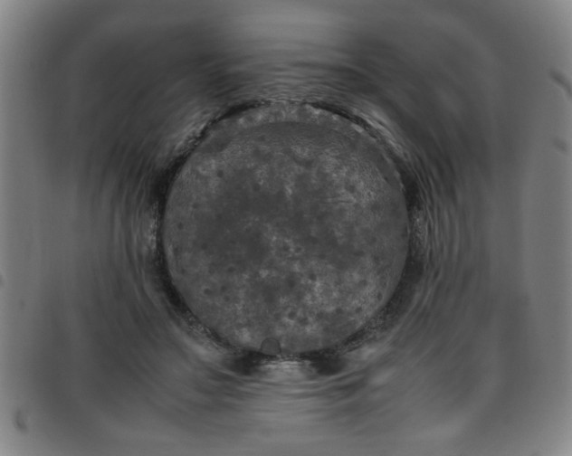 X0000097460499200803071634