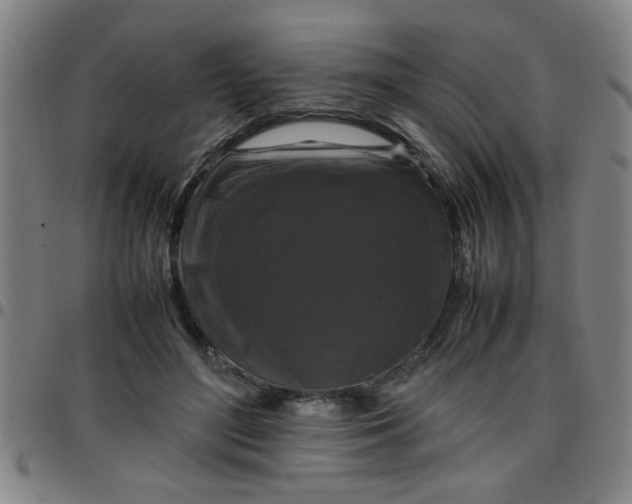 X0000097460500200803071634