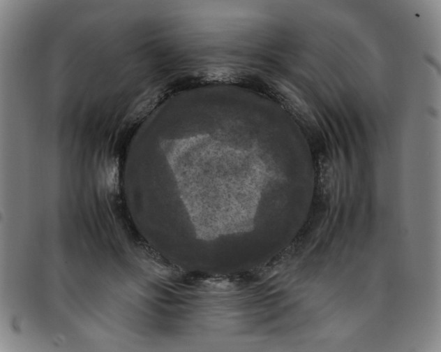 X0000097460502200803071634