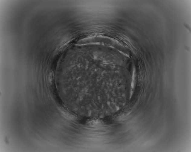 X0000097460503200803071634