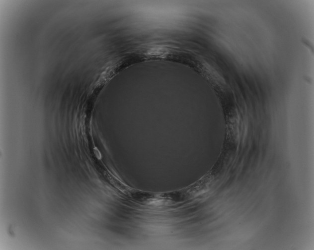 X0000097460504200803071634