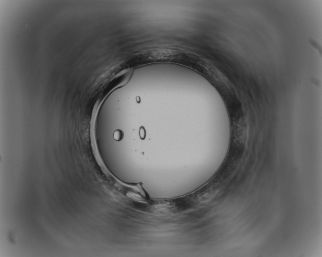 X0000097460505200803071634