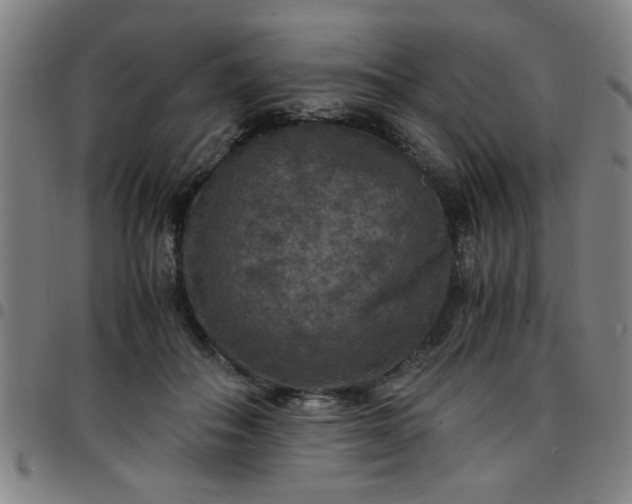 X0000097460506200803071634