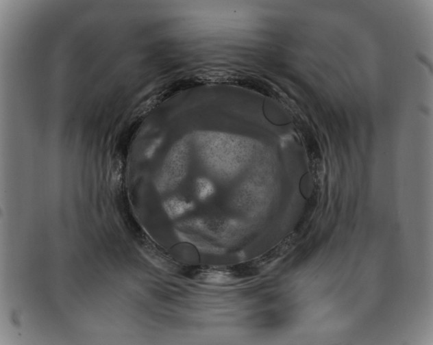 X0000097460507200803071634