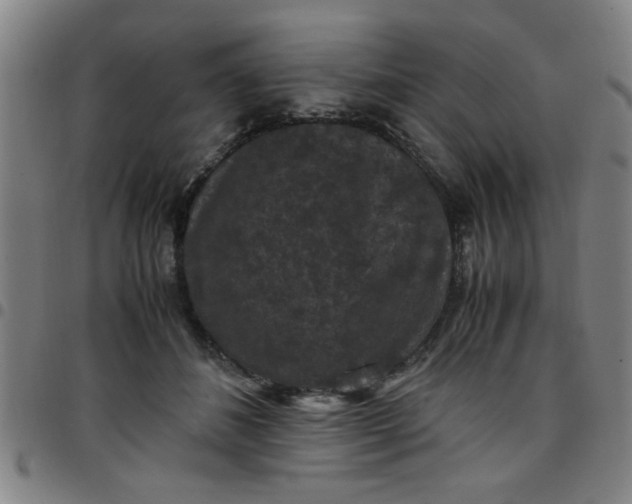 X0000097460508200803071634