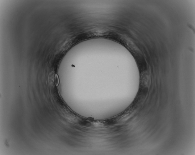 X0000097460509200803071634