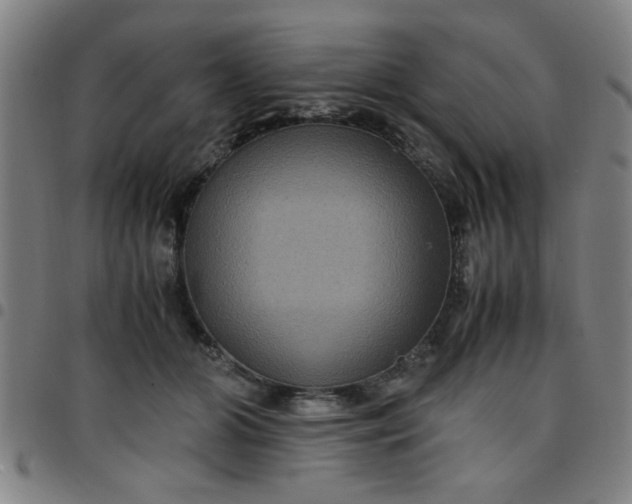 X0000097460510200803071634