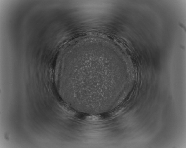 X0000097460511200803071634