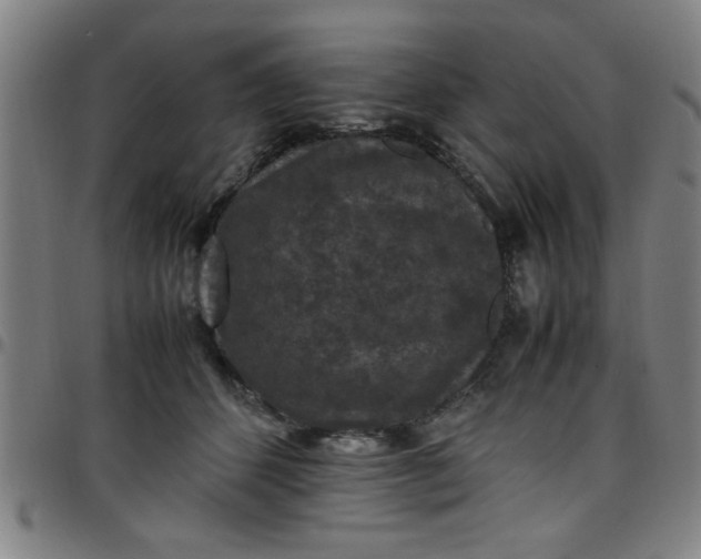 X0000097460512200803071634