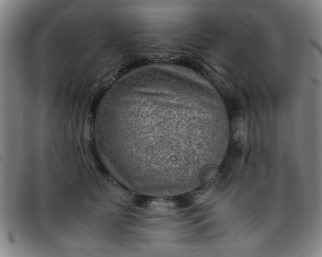 X0000097460515200803071634