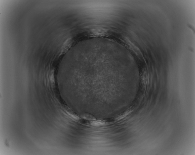 X0000097460516200803071634