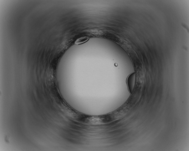 X0000097460518200803071634