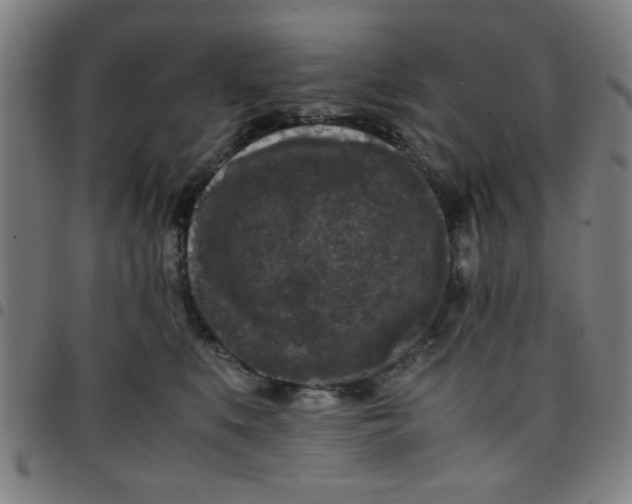 X0000097460519200803071634