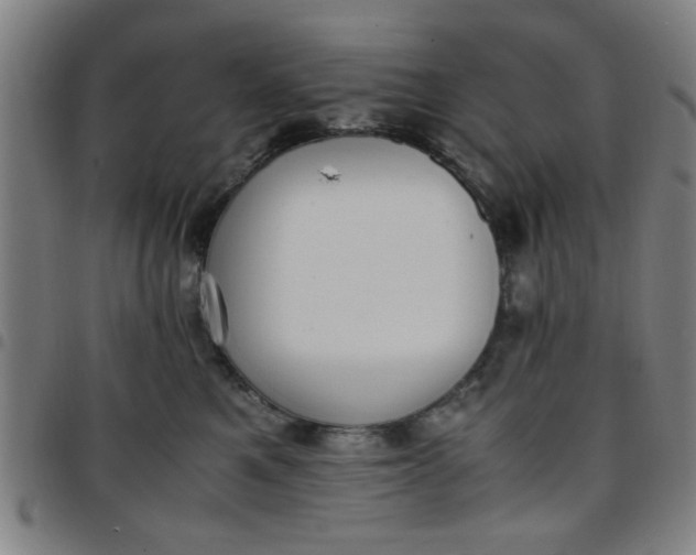 X0000097460521200803071634