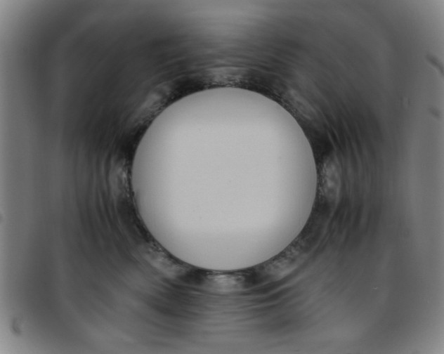 X0000097460522200803071634