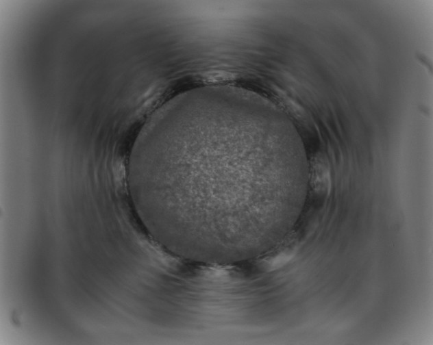 X0000097460523200803071634