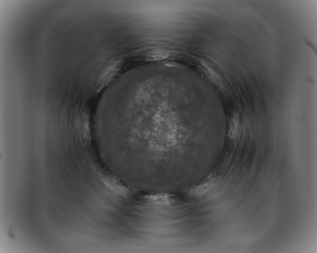 X0000097460524200803071634