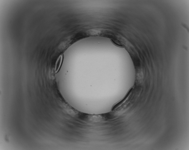 X0000097460525200803071634