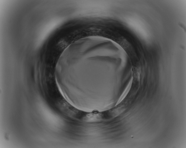 X0000097460526200803071634