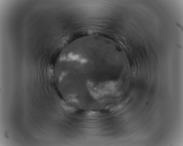 X0000097460527200803071634