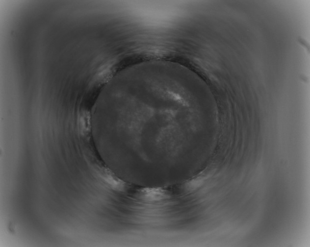 X0000097460528200803071634