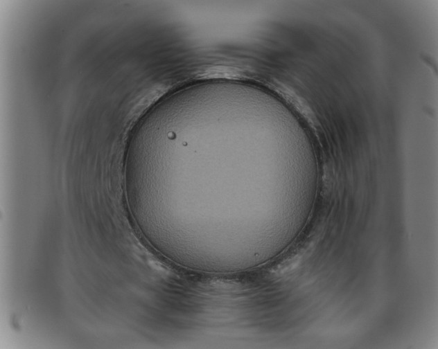 X0000097460529200803071633