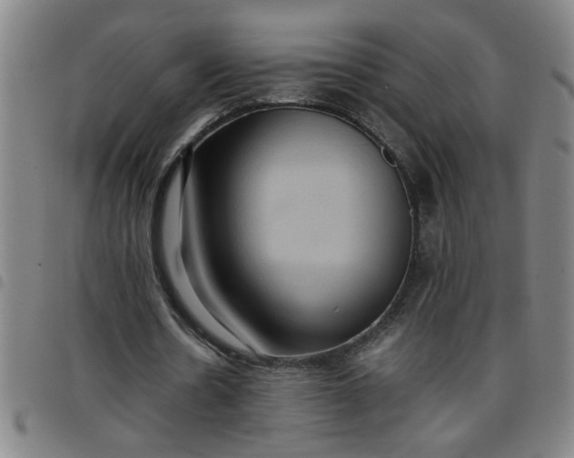 X0000097460530200803071633