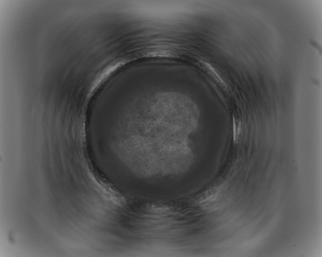 X0000097460531200803071633