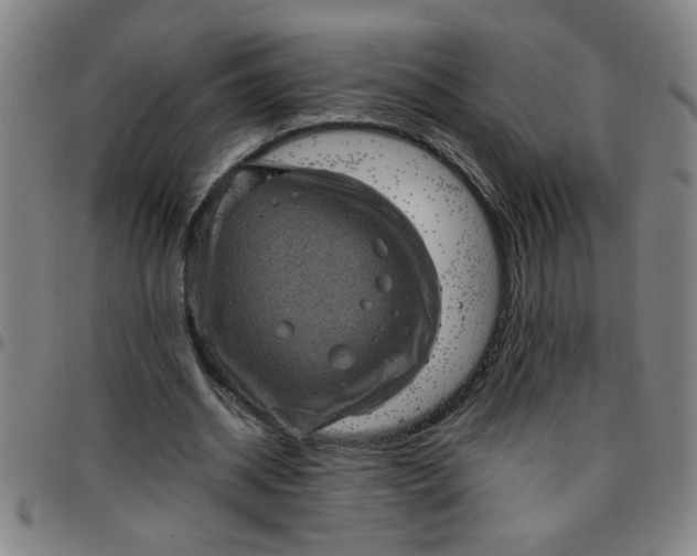 X0000097460534200803071633