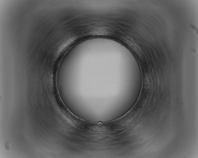 X0000097460535200803071633