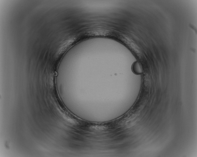 X0000097460537200803071633