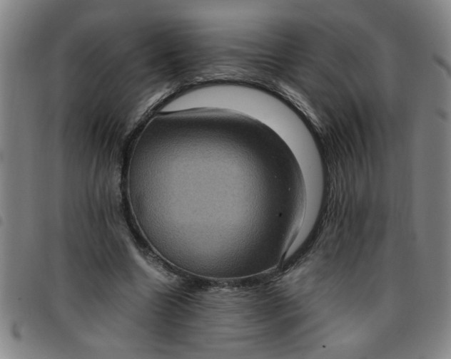 X0000097460538200803071633