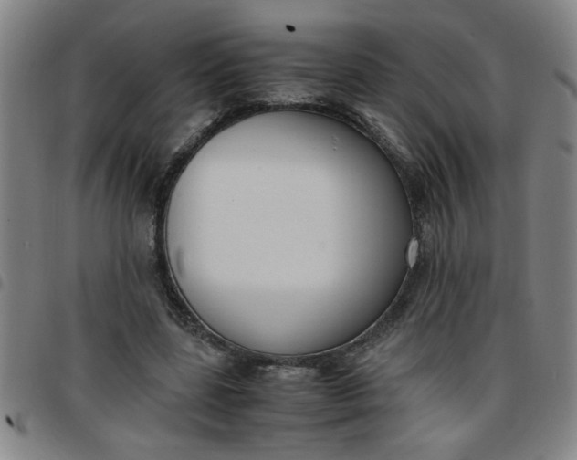 X0000097460539200803071633