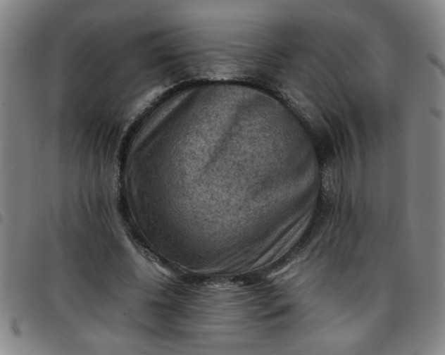 X0000097460540200803071633