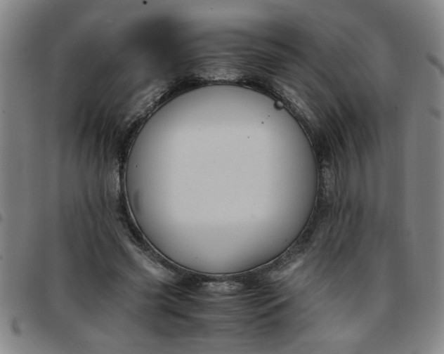 X0000097460541200803071633